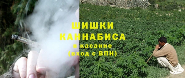 спиды Ладушкин