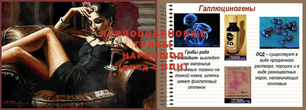 бутират Лагань