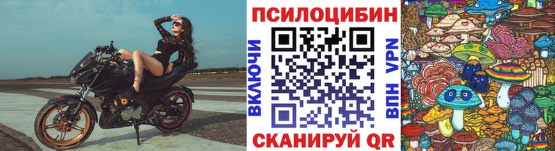 Галлюциногенные грибы Psilocybine cubensis  Купить закладки  Тулун 