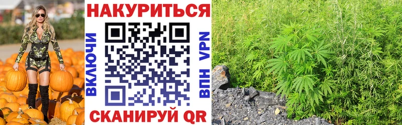 Купить закладки  Тулун  Конопля Amnesia 